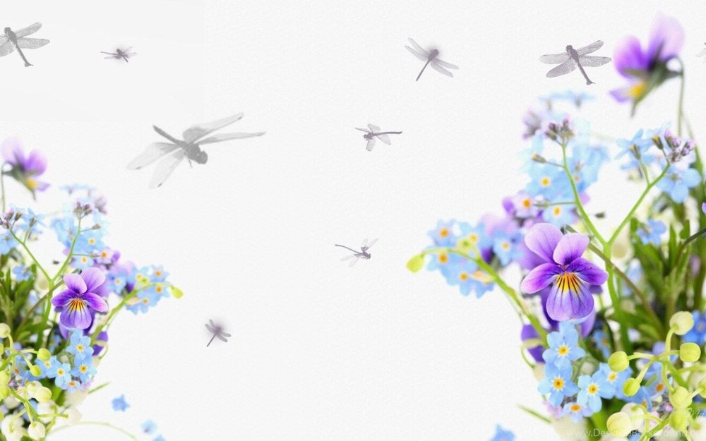 Фон для презентации птицы