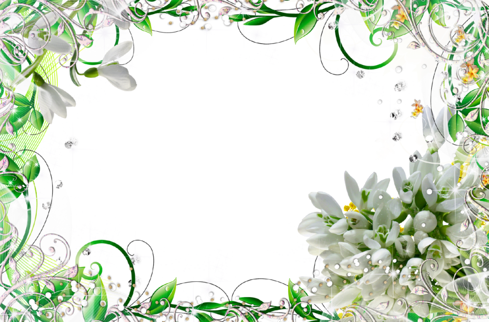 Мятный цвет фон