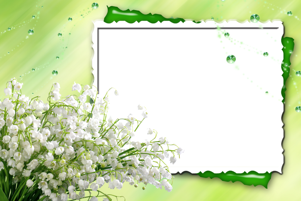 Рамка с птичками