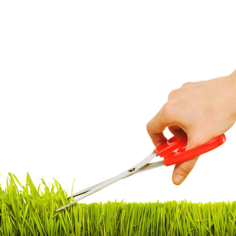 Газонокосилка фон