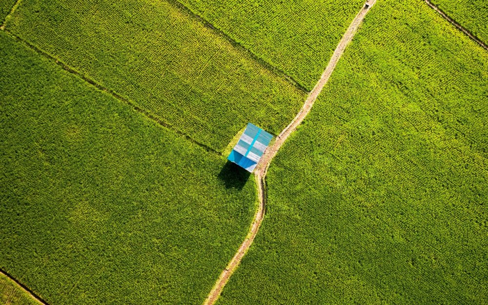 Поле вид сверху