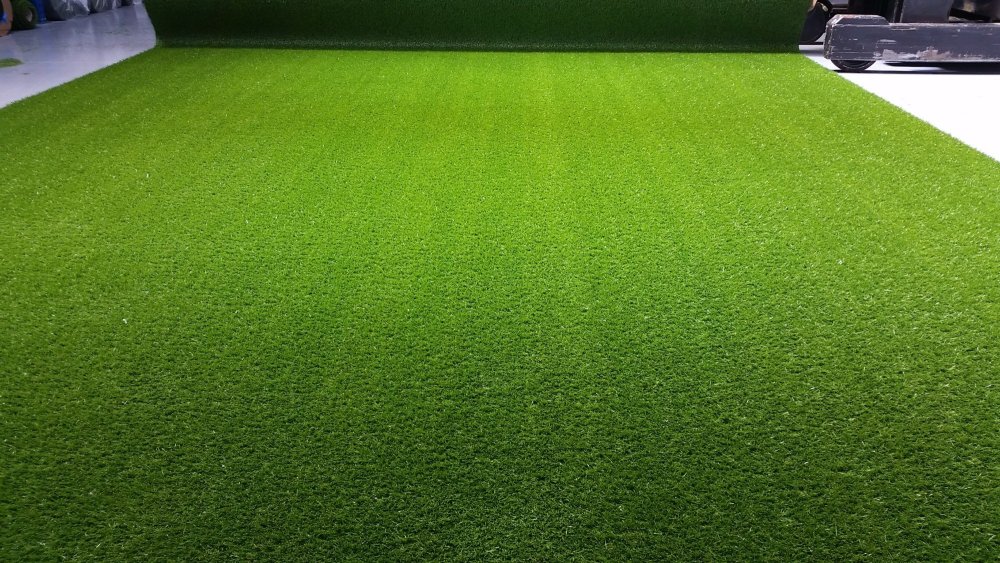 Скошенный газон