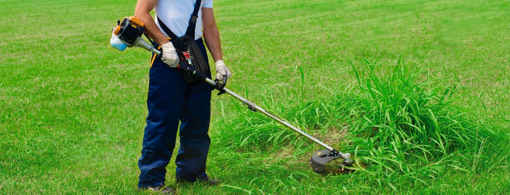 Газон для визуализации