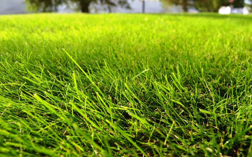 Триммер Garden line ntcg330