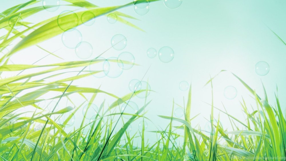 Трава футаж