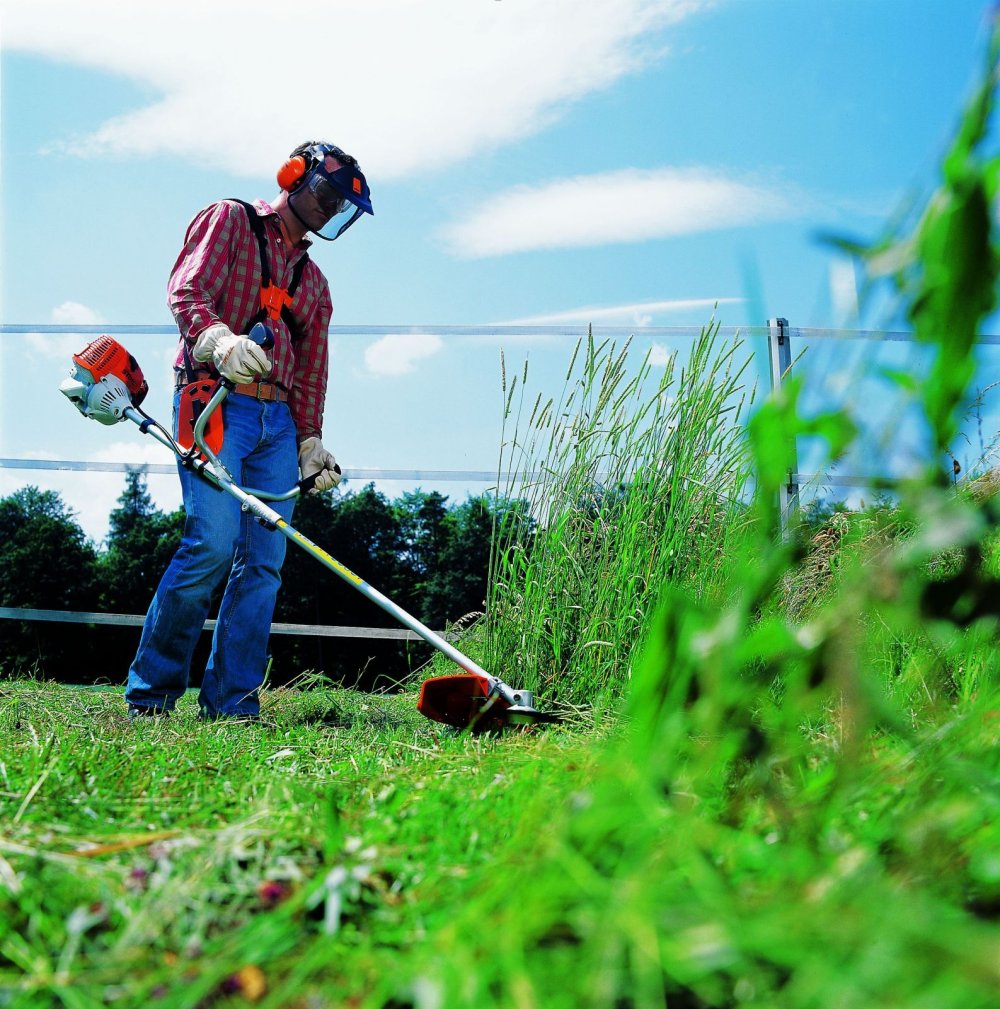Зеленое поле