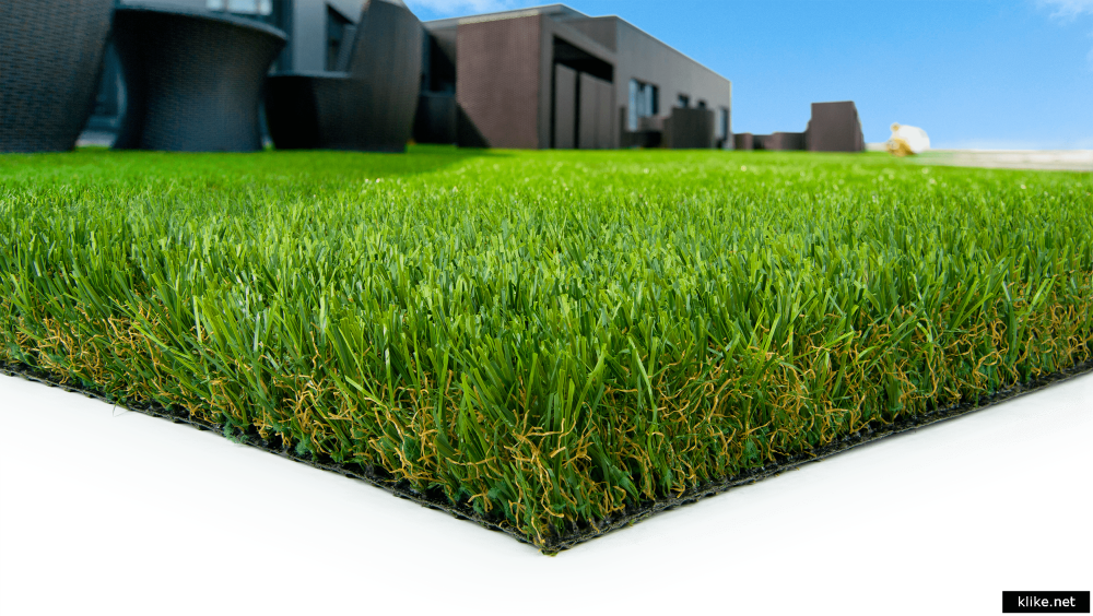 Божья коровка на траве