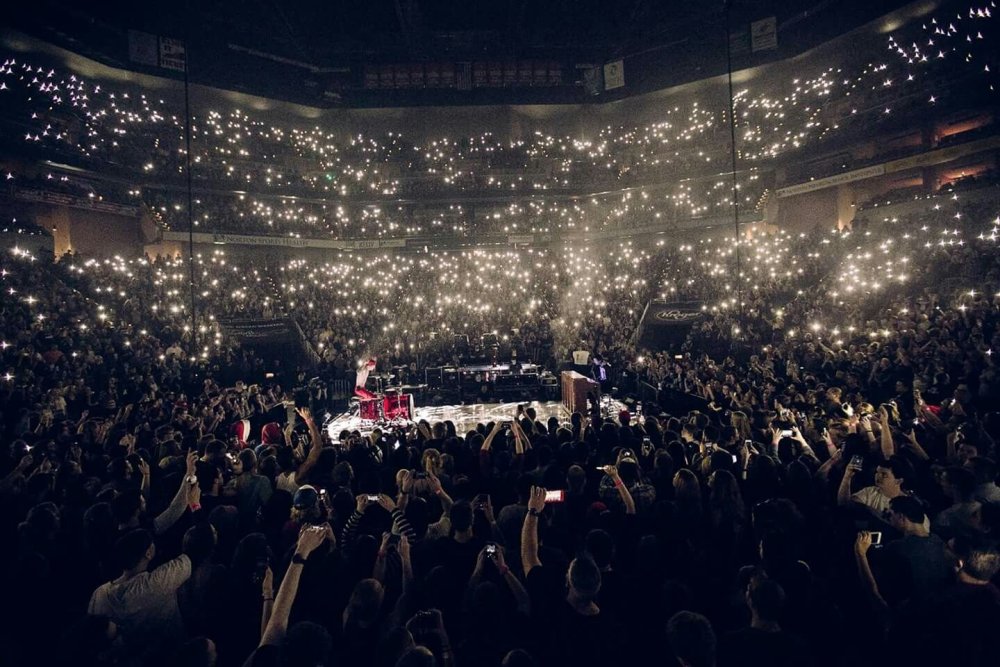 Ночной концерт