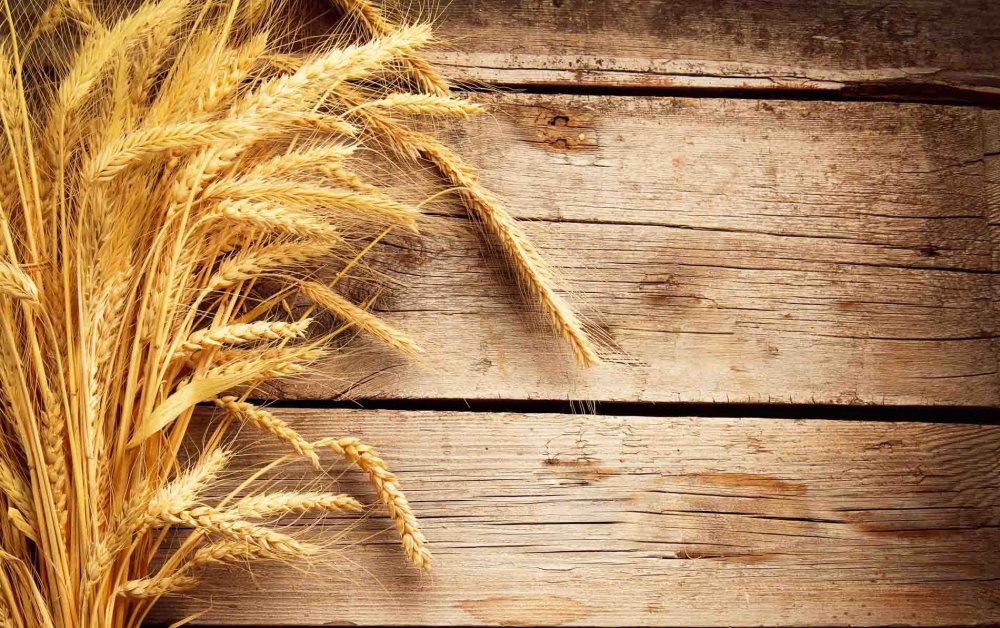 Пекарня фон