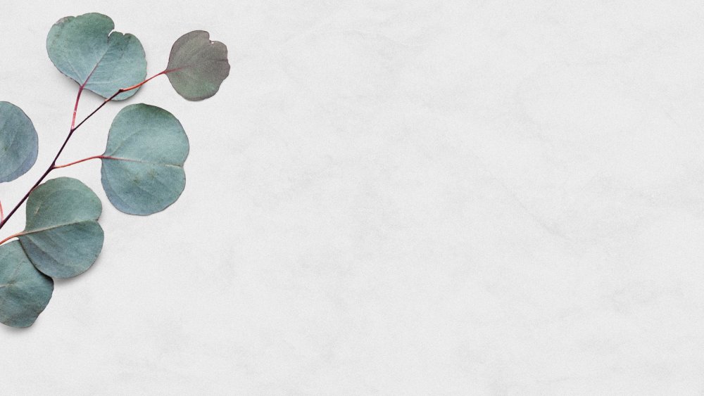 Акварель зелень эвкалипт