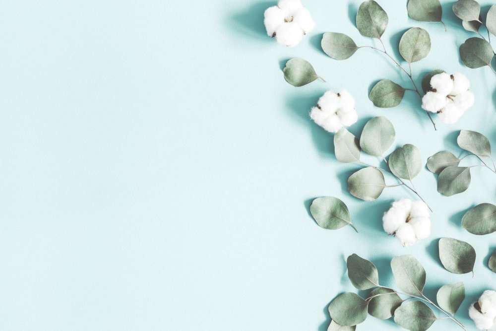 Листья эвкалипт Болл-ред