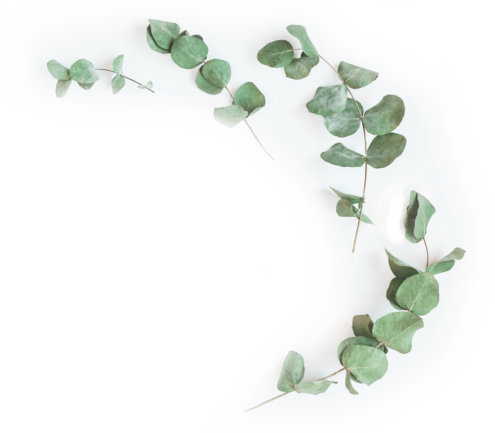 Эвкалипт Эстетика