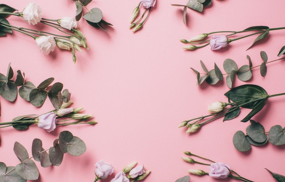 Веточка эвкалипта на деревянном фоне