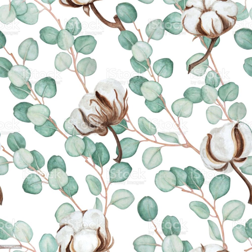 Деревянный фон с листьями эвкалипта