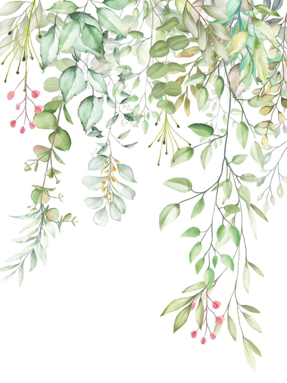 Листья эвкалипта паттерн