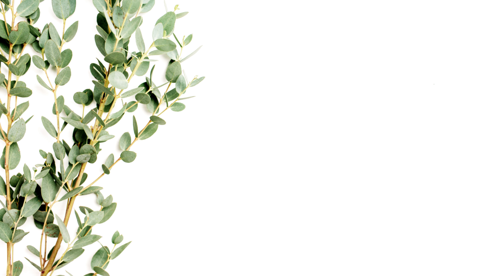 Хлопок и эвкалипт