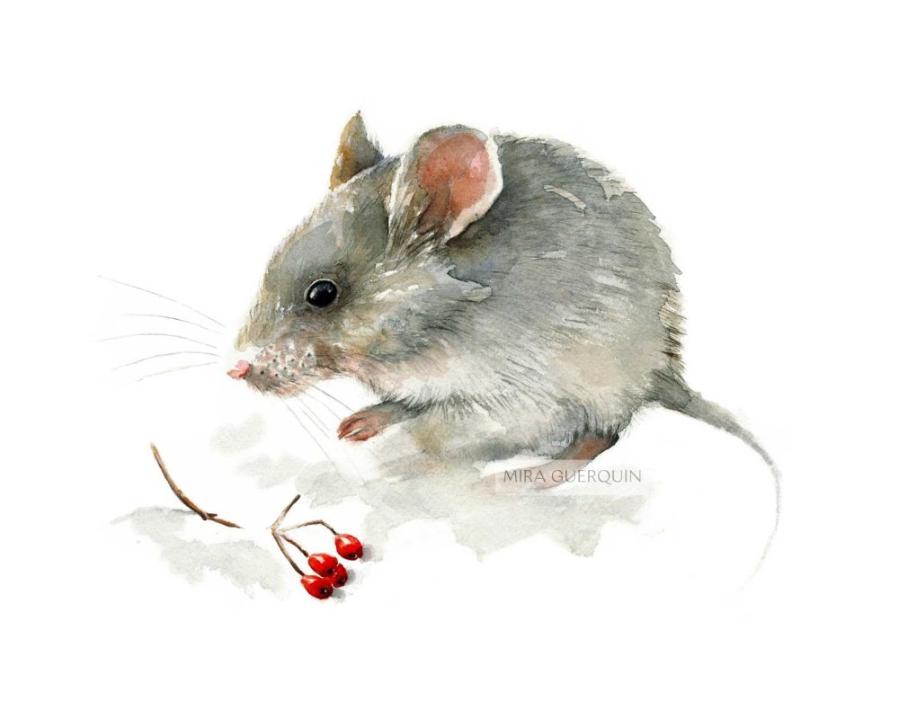 Мышь акварелью