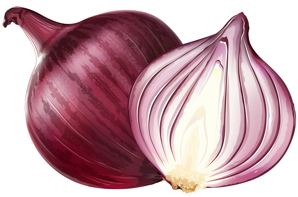 Иконка приложения визуально похожая на разрезанную луковицу. Лук репчатый красный. Лук овощ. Фиолетовый лук. Овощи красный лук.