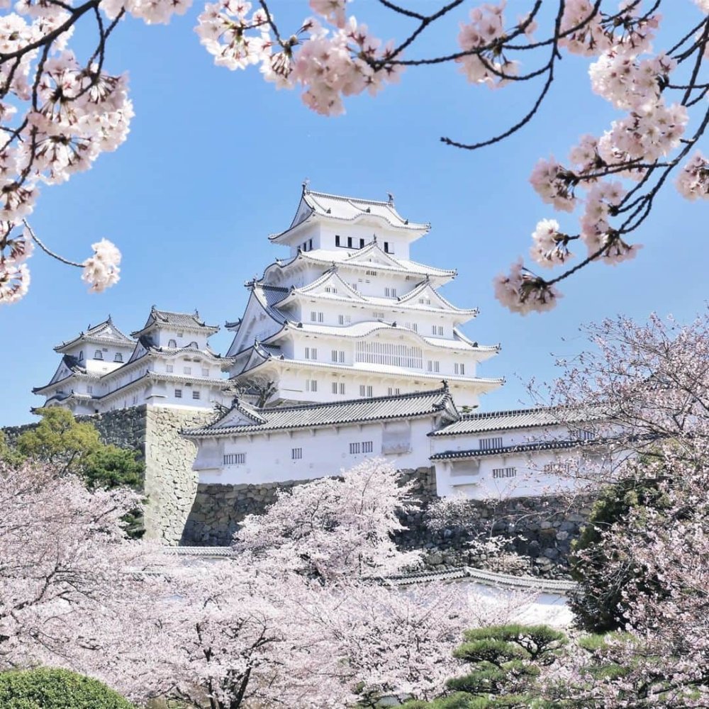 замок химэдзи япония