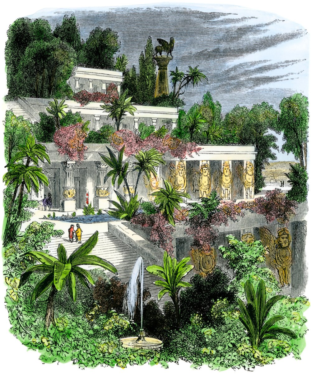 Висячие сады Семирамиды растительность