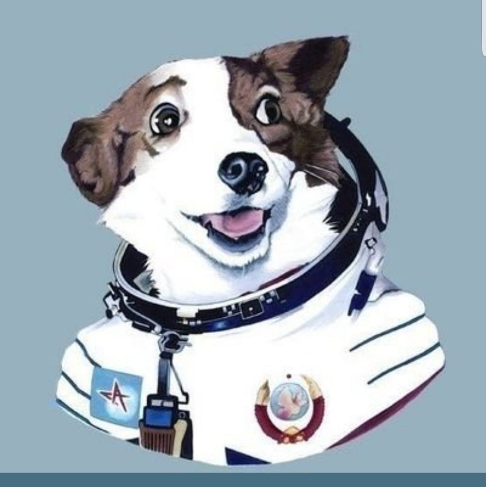 Космосе после собаки. Белка и стрелка космонавты. Собаки в космосе. Собака в скафандре. Собачка космонавт.