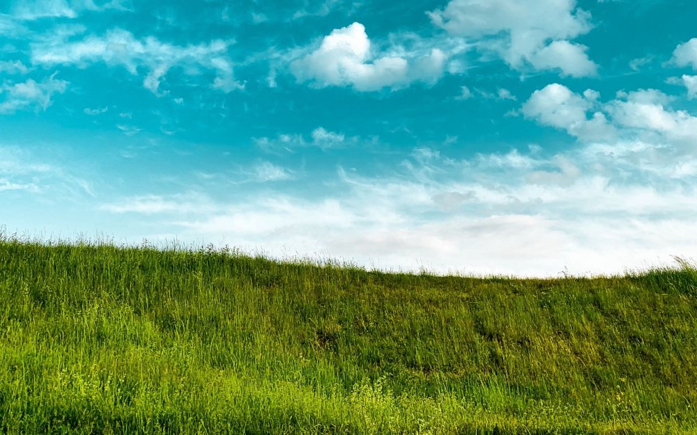 Голубое небо зеленая трава фон - 85 фото