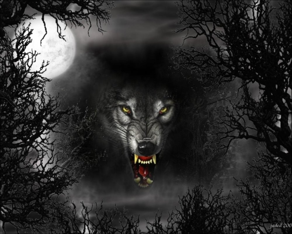 Волк с воровскими звездами
