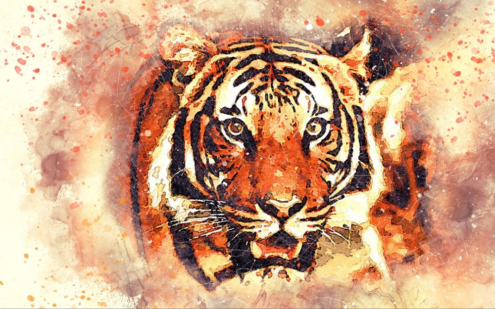 Тигр рисунок - 78 фото