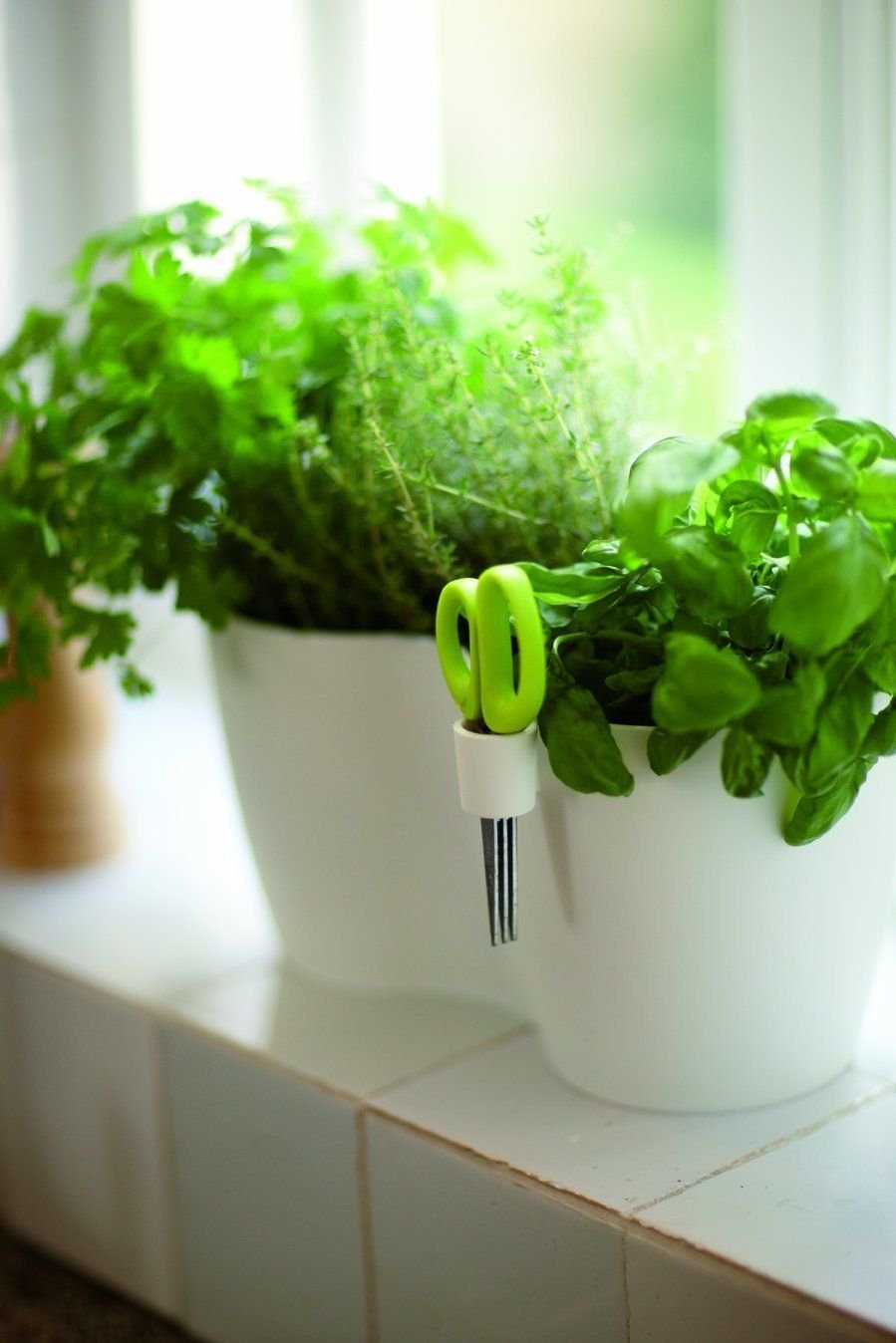 Съедобное комнатное. Зелень в горшке. Растения в интерьере кухни. Зелень на подоконнике. Комнатные растения на кухне.