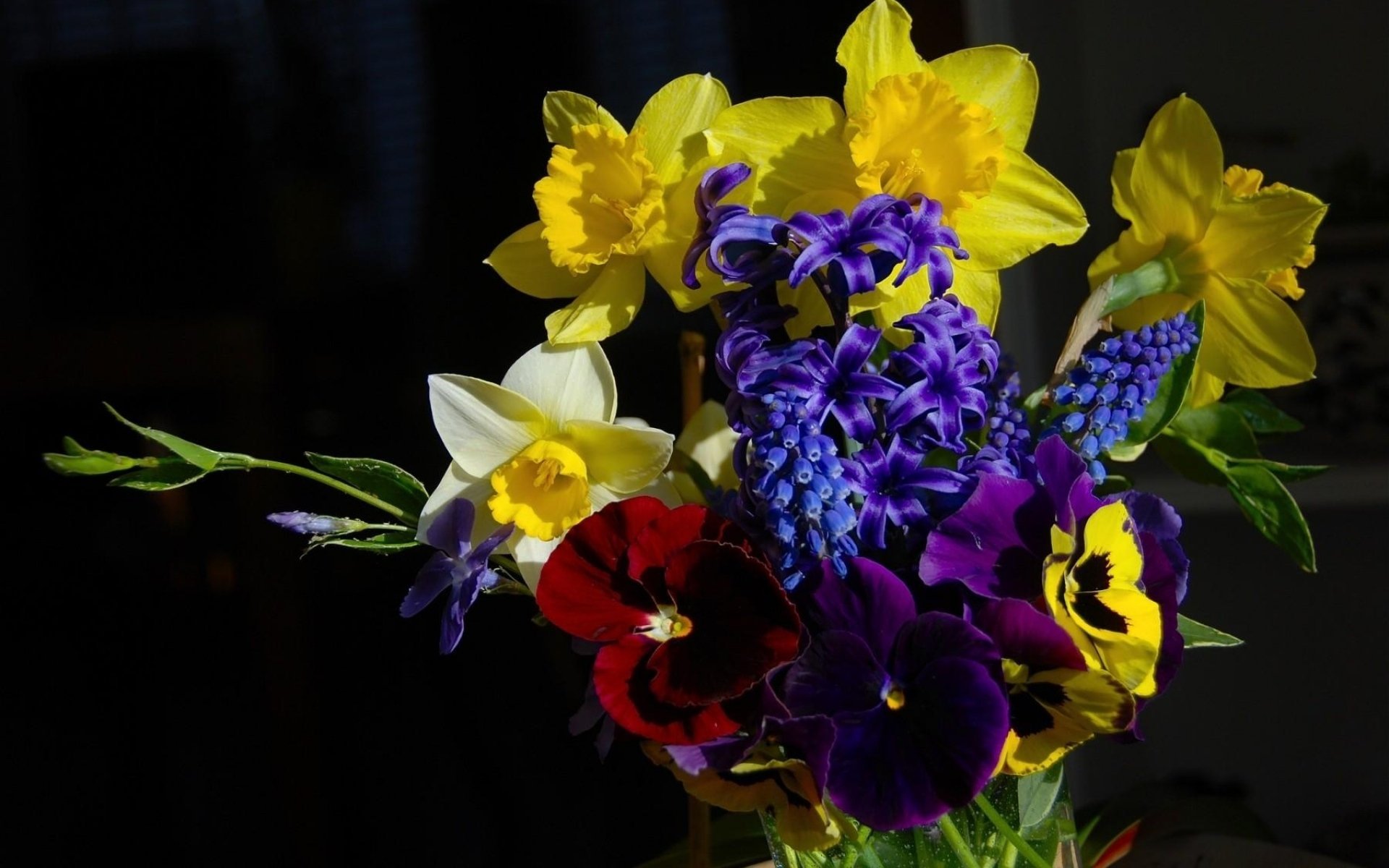 Желтые цветы которые дарят на 8. Фрезия нарциссы. Нарцисс тюльпан Анютины глазки. Ирисы и нарциссы букет. Букет тюльпаны ирисы нарциссы.