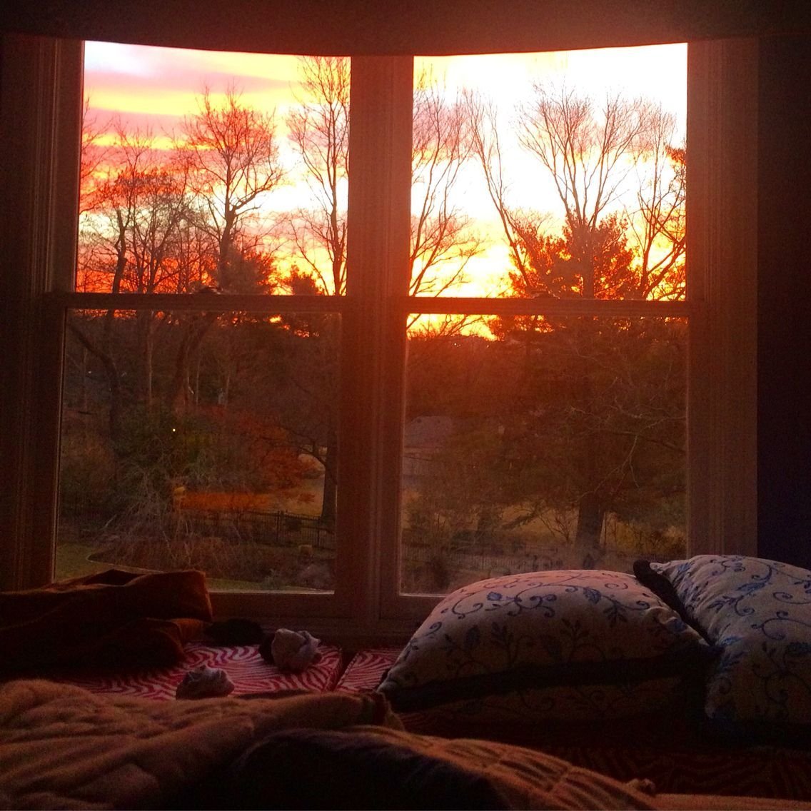 Ранний вечер время. Уютная комната. Уютная комнатка с окном. Комната с закатом в окне. Вид из окна рассвет.