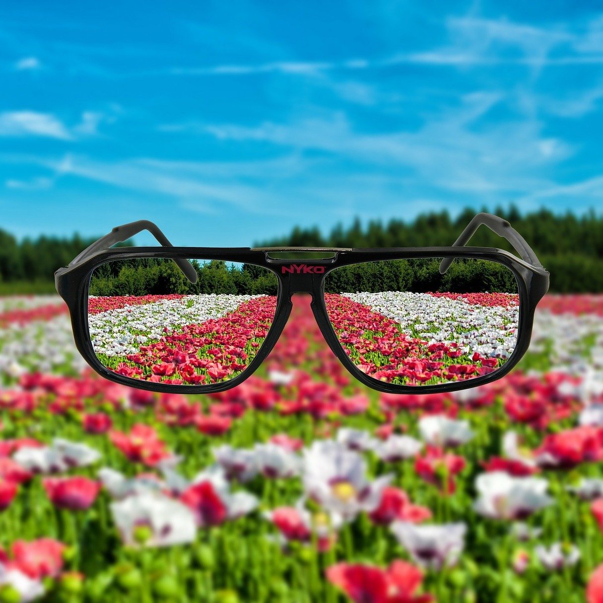 Как видят люди в очках. Солнцезащитные очки в цветах. Цветы через очки. Вид через очки. Очки на фоне природы.