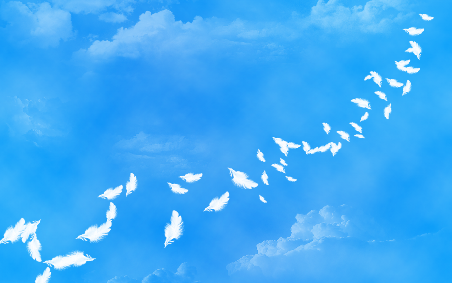 Heaven bird. Птицы в небе. Мирное небо. Голуби в небе. Голубое мирное небо.