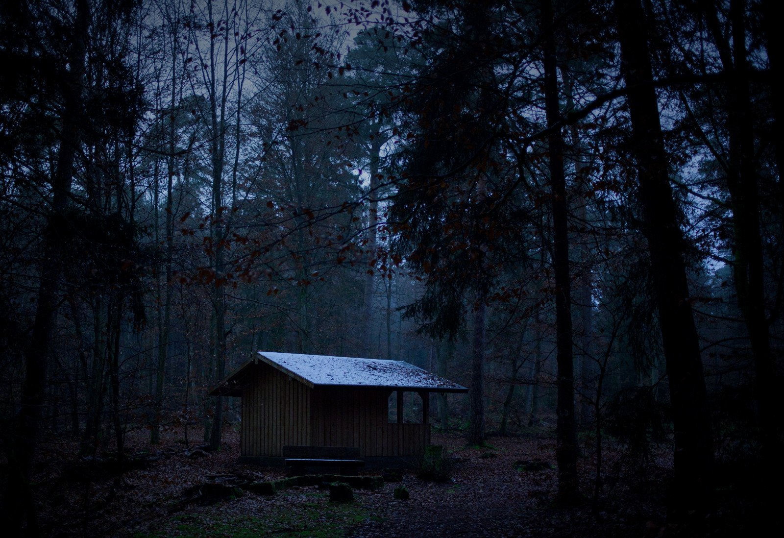 Хранилище времени затерянная глушь. Домик в лесу ночью. Страшный дом в лесу. Страшный домик в лесу. Домик в ночном лесу.