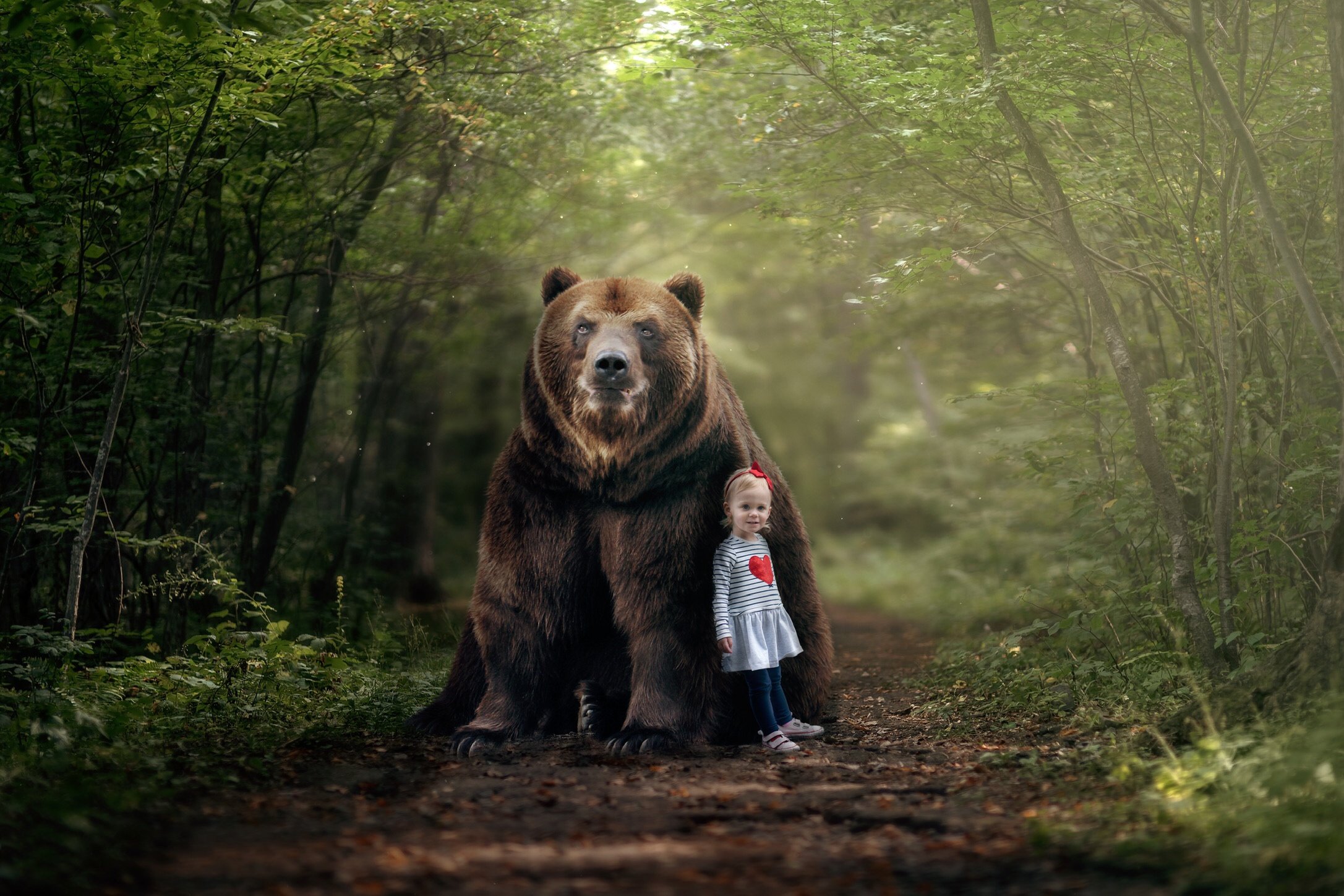 В африке живут медведи. Медведь. Лесной медведь. Медведь на фоне природы. Медведь в природе.