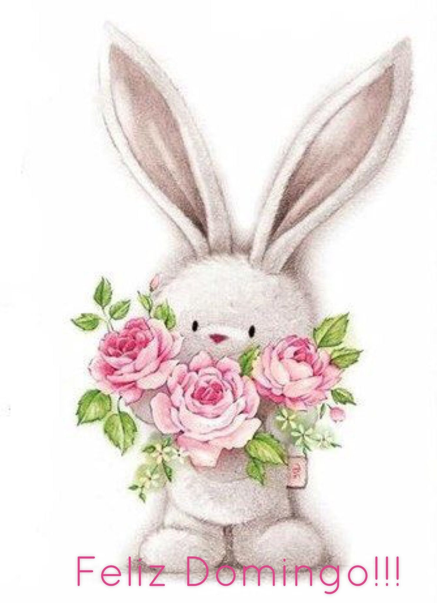 Зайчик поздравляет. Зайка с цветочком. Заяц мультяшный. Зайчик с букетом. Кролик мультяшный.