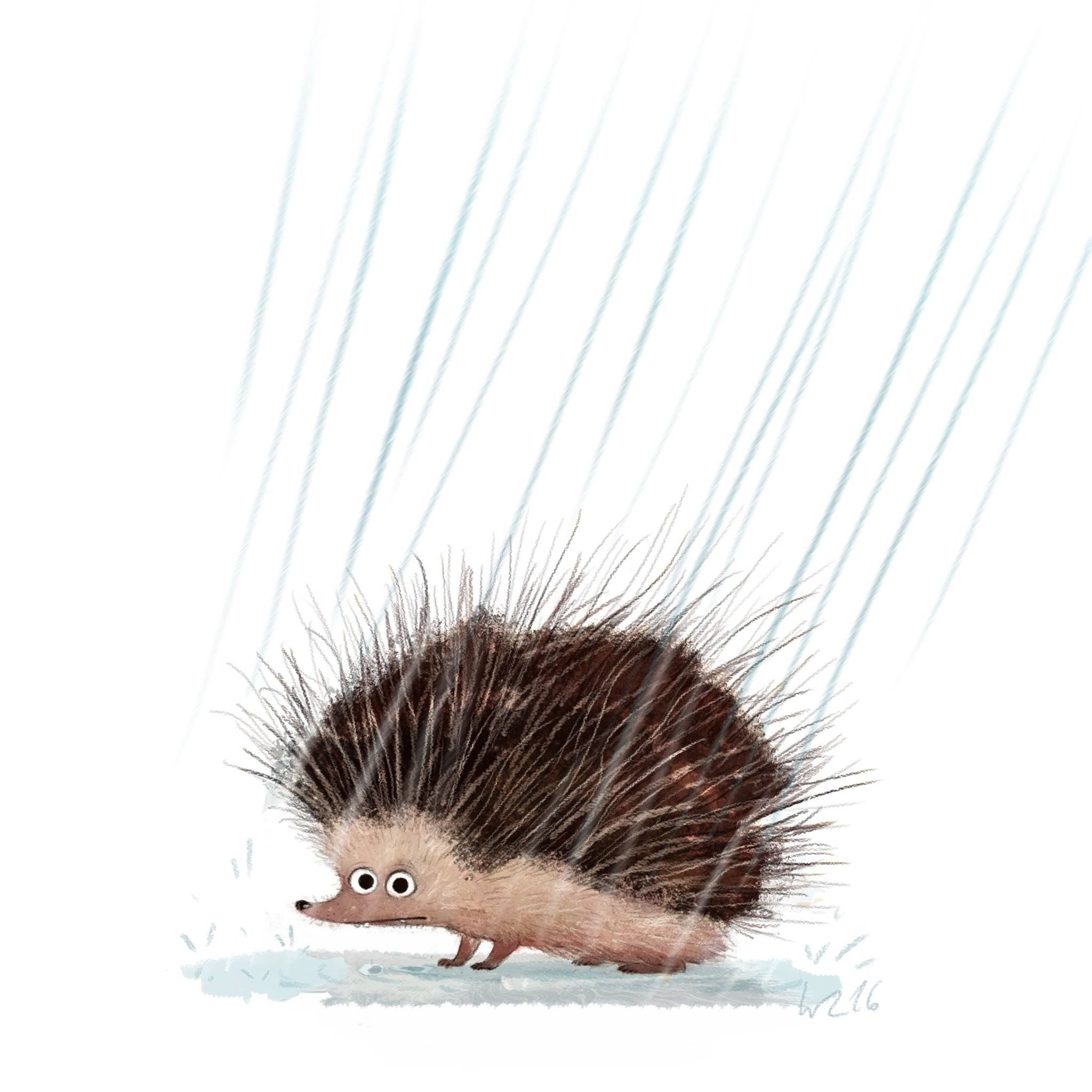 Ежик дождь. Грустный Ежик рисунок. Ежик под дождем. Грустный Ежик. Ежик и дождь.