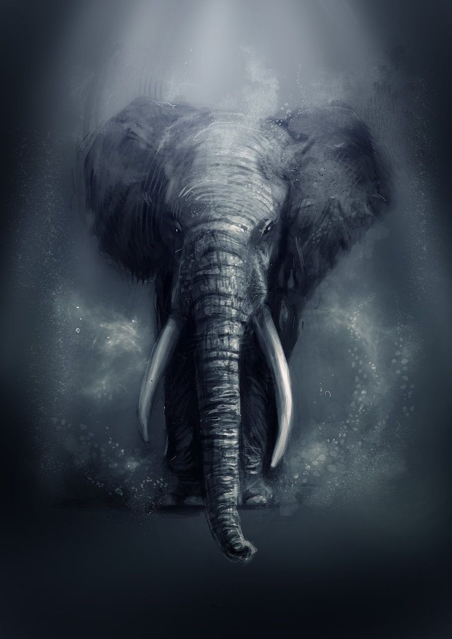 Слон на заставку телефона. Слон фэнтези. Слоны арт. Изображение слона. Слоны арты.