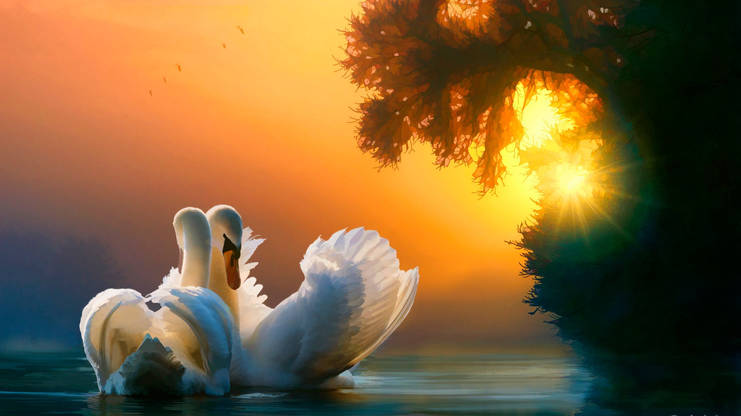 Трогательно прекрасно. Красивые лебеди. Два лебедя. Лебеди на закате. Любовь и лебеди.