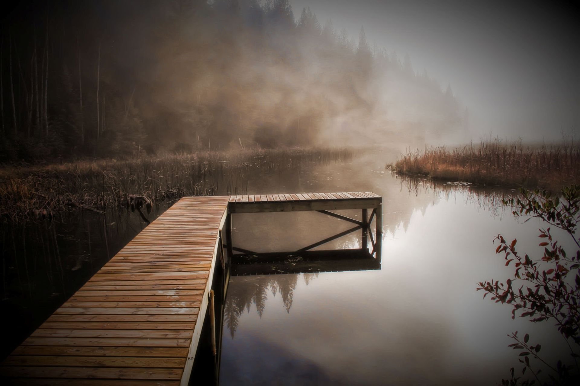 Грустное озеро. Мостик на озере. Мост в тумане. Туманный пейзаж. Озеро в тумане.