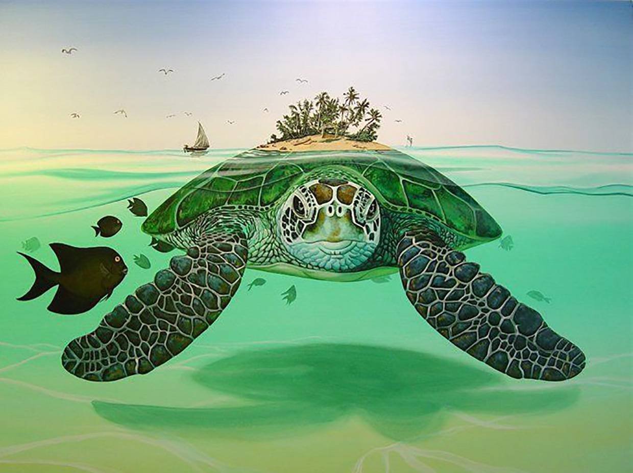 Плавучий город черепаха. Водоплавающая черепаха морская. Остров тартл (Черепаший остров). Панцирь морской черепахи. Морская черепаха Джим Варрен.