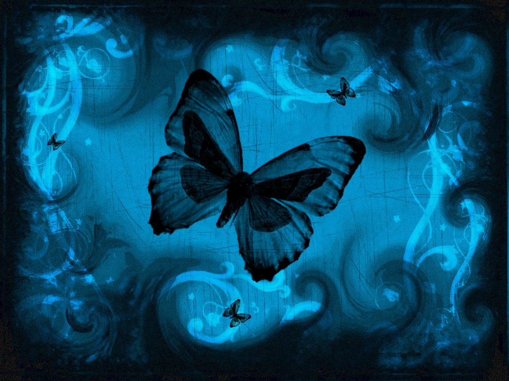 Песни бабочка ночь. Бабочки. Синяя бабочка. Красивый фон с бабочками. Бабочки на черном фоне.