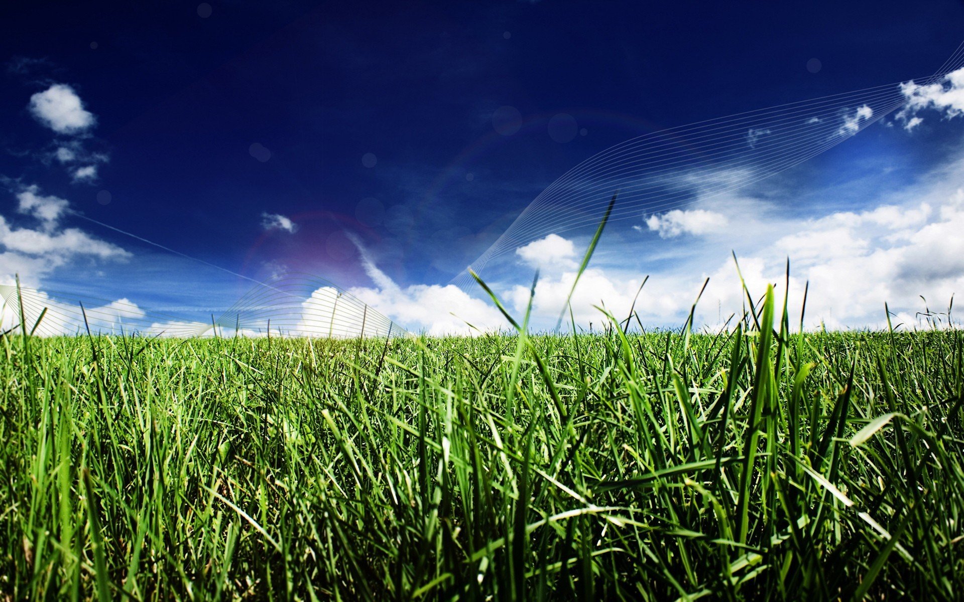 Песня голубое небо зеленая трава. Трава и небо. Зеленое поле. Зеленая трава. В поле.