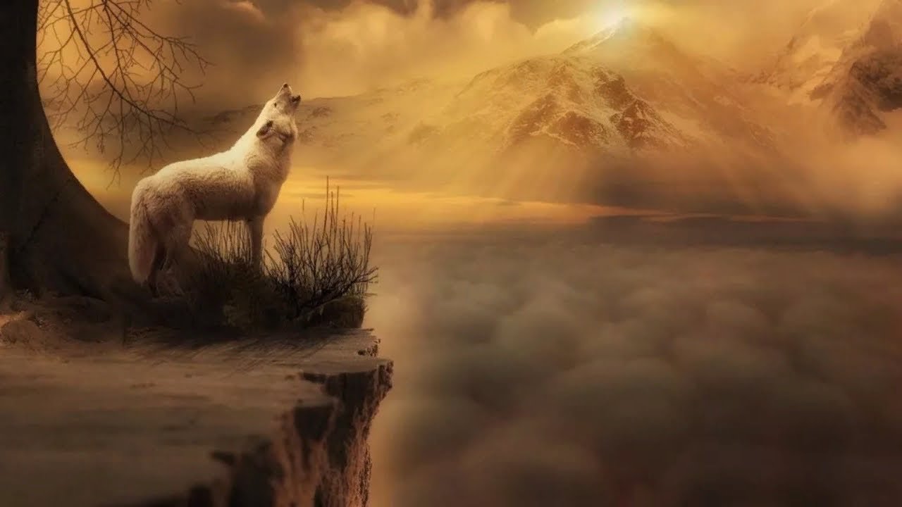 Воет днем человек. Волк на обрыве. Белый волк на скале. Волк в тумане арт. Волк в тумане.