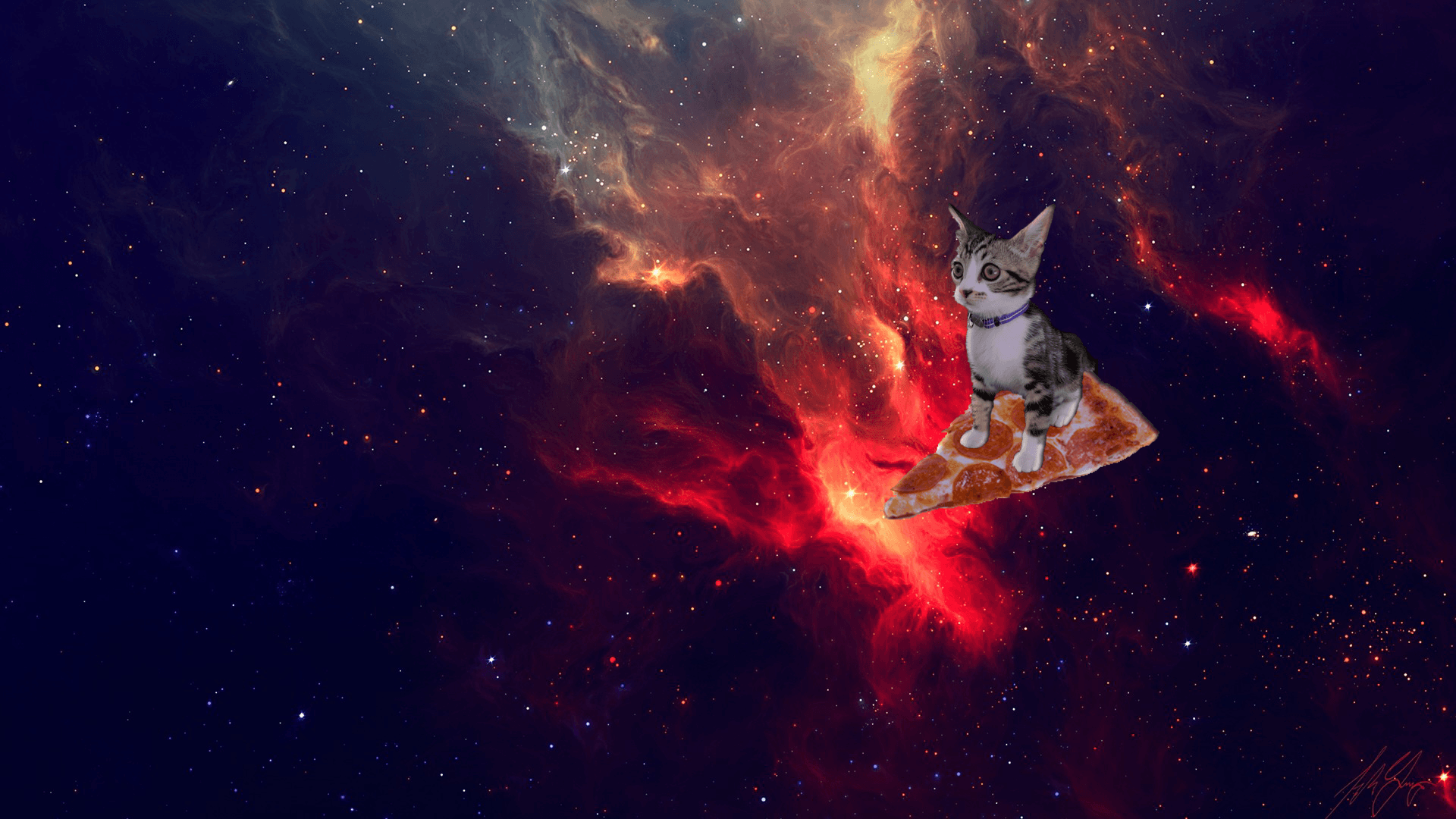 Обои котики мемы. Кот в космосе. Котенок в космосе. Котики на фоне космоса. Кот на пицце в космосе.