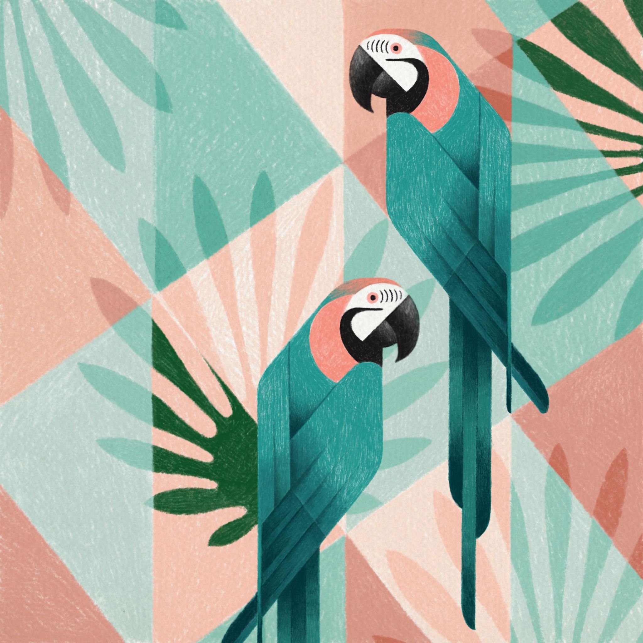 Постер птицы. Стилизованный попугай. Стилизация птиц. Стилизованная птица живопись. Яркие тропические птицы стилизация.