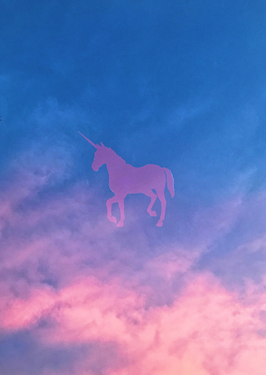 Розовый конь песни. Эстетика Уникорн. Единорог Эстетика. Розовая лошадь. Розовый Единорог Эстетика.