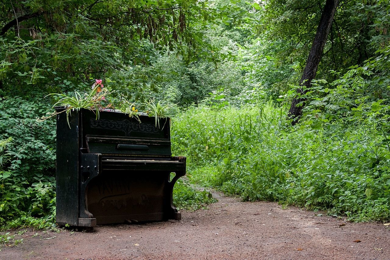 Произведение голос в лесу. Пианино в лесу. Фортепиано на природе. Рояль в лесу. Фотосессия у пианино в лесу.