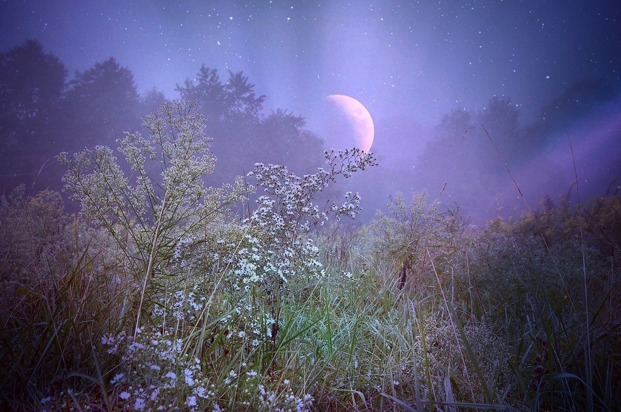 Апрельская ночь картинки красивые. Природа ночью. Летняя ночь. Лунная ночь. Весенняя ночь.
