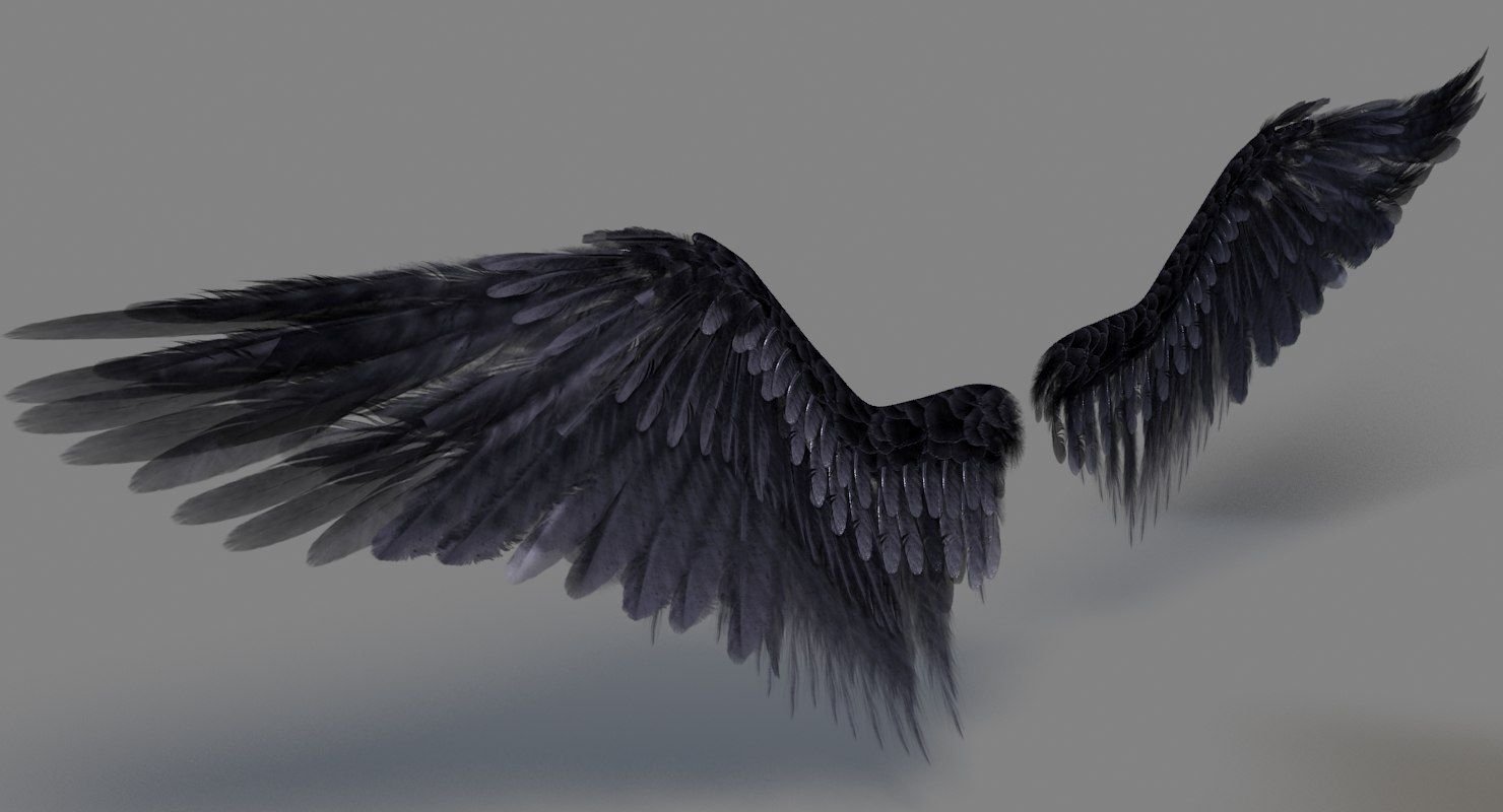 Стали птицы на крыло. Черные Крылья. Крылья ангела черные. Крылья демона. Красивые Крылья.